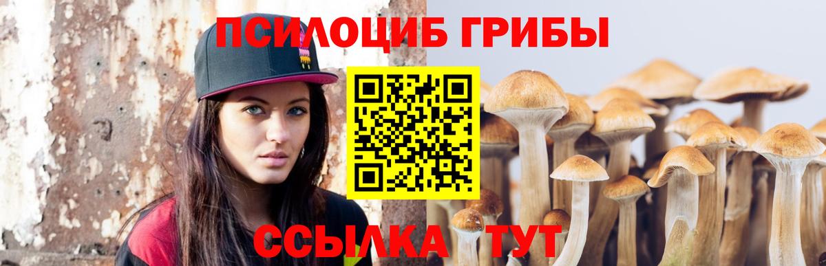А ПВП Сосновый Бор